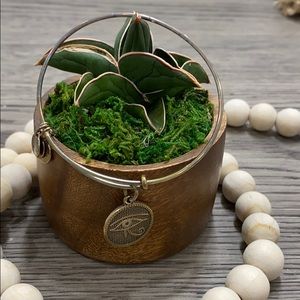 Alex and ani bracelet